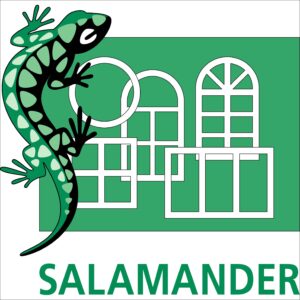 profile-pvc-salamander-blanconstruct-moldova